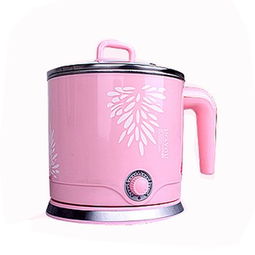 艾纳优a165电煮锅 多用途与安全的时尚厨房好帮手